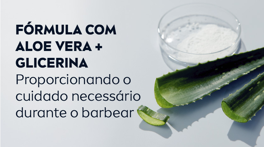 Imagem de aloe vera e um pote com conteúdo branco ao fundo.