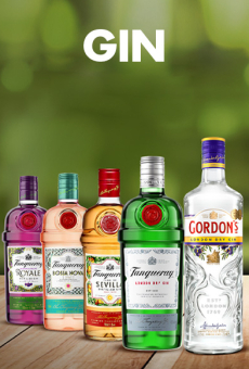Imagens de várias garrafas e gin