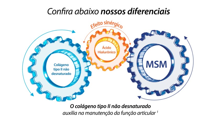 Imagem de um engenho exemplificando o funcionamento de colágeno, ácido hialurônico e MSM
